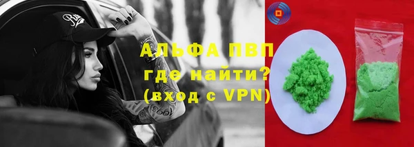 ешки Белокуриха