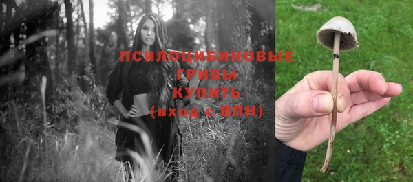 соль курить ск Беломорск