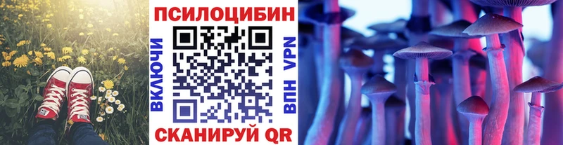 Купить  Апатиты  Галлюциногенные грибы GOLDEN TEACHER 